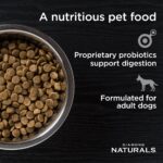 Diamond>Naturals Diamond Naturals Adult Dog Beef Meal & Rice Formula Dry Dog Food, photo 2