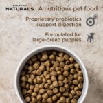 Diamond>Naturals Diamond Naturals Large Breed Puppy Lamb & Rice Formula Dry Dog Food, photo 2