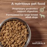 Diamond>Naturals Diamond Naturals Large Breed Adult Dog Chicken & Rice Formula Dry Dog Food, photo 2