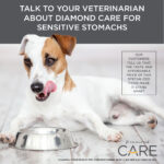 Diamond Care Sensitive Stomach Formula for Adult Dogs Dry Dog Food, photo 9