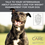 Diamond Care Weight Management Formula for Adult Dogs Dry Dog Food, photo 9