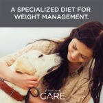 Diamond Care Weight Management Formula for Adult Dogs Dry Dog Food, photo 6
