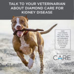 Diamond>Care Diamond Care Rx Renal Formula Dry Dog Food, photo 6