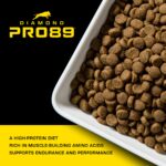 Diamond Pro89 Beef, Pork & Ancient Grains Formula for Adult Dogs Dry Dog Food, photo 3