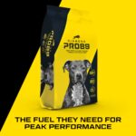Diamond Pro89 Beef, Pork & Ancient Grains Formula for Adult Dogs Dry Dog Food, photo 4