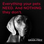 Diamond Naturals Grain-Free Wild-Caught Whitefish & Sweet Potato Formula Dry Dog Food, photo 3