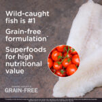 Diamond Naturals Grain-Free Wild-Caught Whitefish & Sweet Potato Formula Dry Dog Food, photo 4
