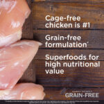 Diamond Naturals Grain-Free Cage-Free Chicken & Sweet Potato Formula Dry Dog Food, photo 4