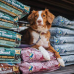 Earthborn Holistic Ocean Fusion Dry Dog Food, photo 2