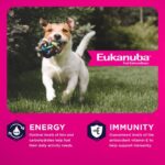 Eukanuba Adult Small Bites Dry Dog Food, photo 4