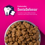 Eukanuba Adult Small Bites Dry Dog Food, photo 6