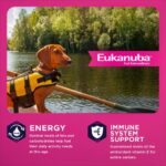 Eukanuba Senior Small Breed Dry Dog Food, photo 3