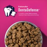 Eukanuba Senior Small Breed Dry Dog Food, photo 5