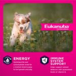 Eukanuba Puppy Medium Breed Dry Dog Food, photo 3