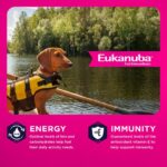 Eukanuba Adult Small Breed Dry Dog Food, photo 4