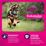 Eukanuba Puppy Large Breed Dry Dog Food, photo 5