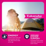 Eukanuba Senior Large Breed Dry Dog Food, photo 3