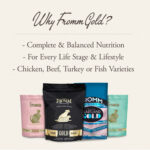 Fromm Heartland Gold Large Breed Puppy Dry Dog Food, photo 4