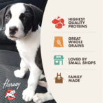 Fromm Puppy Gold Dry Dog Food, photo 2