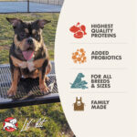 Fromm Heartland Gold Adult Dry Dog Food, photo 2