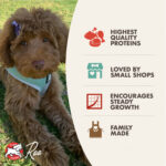 Fromm Heartland Gold Large Breed Puppy Dry Dog Food, photo 2