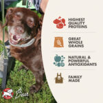 Fromm Classic Adult Dry Dog Food, photo 3