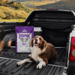 Fromm Classic Adult Dry Dog Food, photo 6
