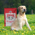 Fromm Classic Mature Adult Dry Dog Food, photo 6