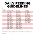 Go! Solutions Carnivore Grain-Free Salmon + Cod Recipe Dry Dog Food, photo 7