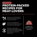 Go! Solutions Carnivore Grain-Free Salmon + Cod Recipe Dry Dog Food, photo 4