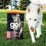 Go! Solutions Carnivore Grain-Free Salmon + Cod Recipe Dry Dog Food, photo 2