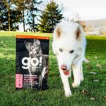 Go! Solutions Carnivore Grain-Free Salmon + Cod Recipe Dry Dog Food, photo 8