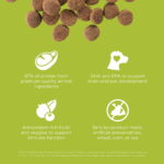 Go! Solutions Carnivore Grain-Free Chicken, Turkey + Duck Puppy Recipe Dry Dog Food, photo 5