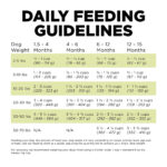 Go! Solutions Carnivore Grain-Free Chicken, Turkey + Duck Puppy Recipe Dry Dog Food, photo 8