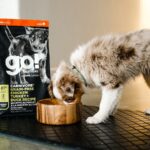 Go! Solutions Carnivore Grain-Free Chicken, Turkey + Duck Puppy Recipe Dry Dog Food, photo 3