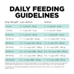 Go! Solutions Carnivore Grain-Free Chicken, Turkey + Duck Adult Recipe Dry Dog Food, photo 8