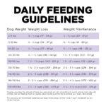 Go! Solutions Carnivore Grain-Free Chicken, Turkey + Duck Senior Recipe Dry Dog Food, photo 6