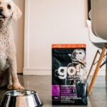 Go! Solutions Carnivore Grain-Free Chicken, Turkey + Duck Senior Recipe Dry Dog Food, photo 2