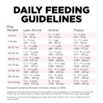 Go! Solutions Sensitivities Limited Ingredient Grain-Free Salmon Recipe Small Bites Dry Dog Food, photo 5