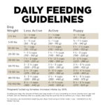 Go! Solutions Sensitivities Limited Ingredient Grain-Free Duck Recipe Dry Dog Food, photo 8