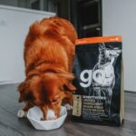 Go! Solutions Sensitivities Limited Ingredient Grain-Free Duck Recipe Dry Dog Food, photo 6