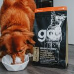 Go! Solutions Sensitivities Limited Ingredient Grain-Free Duck Recipe Dry Dog Food, photo 2