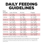 Go! Solutions Sensitivities Limited Ingredient Grain-Free Salmon Recipe Dry Dog Food, photo 8
