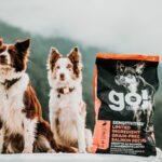 Go! Solutions Sensitivities Limited Ingredient Grain-Free Salmon Recipe Dry Dog Food, photo 2
