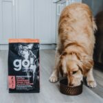 Go! Solutions Sensitivities Limited Ingredient Grain-Free Salmon Recipe Dry Dog Food, photo 6