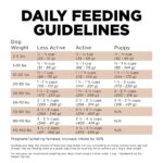 Go! Solutions Sensitivities Limited Ingredient Grain-Free Venison Recipe Dry Dog Food, photo 6