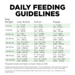 Go! Solutions Skin + Coat Care Turkey Recipe with Grains Dry Dog Food, photo 6