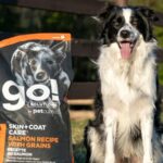 Go! Solutions Skin + Coat Care Salmon Recipe Dry Dog Food, photo 3