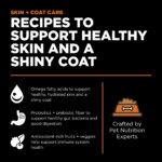 Go! Solutions Skin + Coat Care Salmon Recipe Dry Dog Food, photo 4