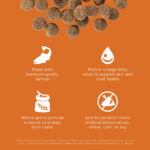 Go! Solutions Skin + Coat Care Salmon Recipe Dry Dog Food, photo 5